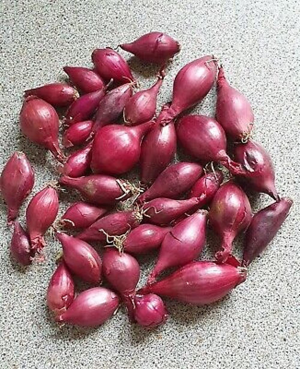 Bulb Sets, Sets, 100 Count, sets, bulb sets Onion Mixed Onion This is a random mix of White,Yellow and Red Onion Onion