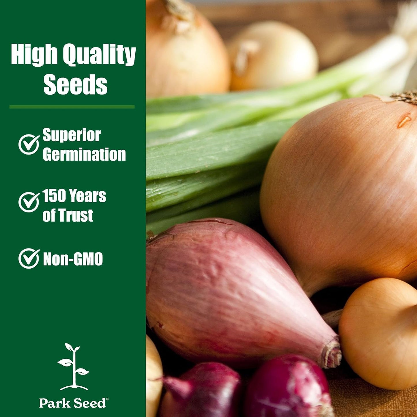 135-Day Bulbs, Pack 200 Park Seed Candy Hybrid Onion Seeds Day-Neutral Yellow Variety, Early and Flavorful Maturity