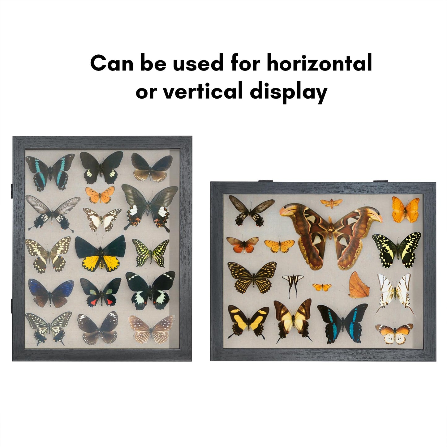 Americanflat Front Opening 11x14 Shadow Box Frame with Shatter-Resistant Glass - Silhouette Collection - Shadow Box Display Case for Tabletop and Wall Display - Black