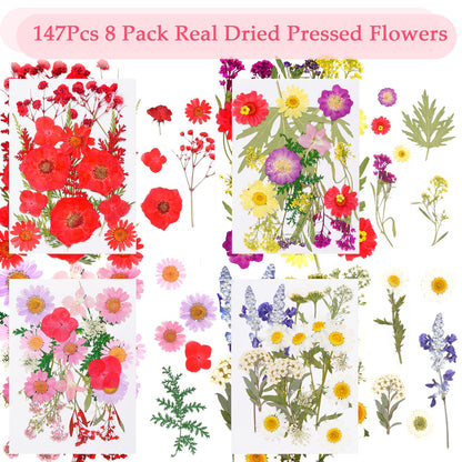 Dfqsofd 228Pcs Pressed Dried Flowers with Butterfly Stickers for Crafts, Natural Real Dried Pressed Flowers for DIY Art Butterfly Stickers Tweezers for Candle Soap Making, Scrapbook