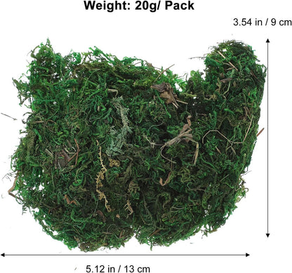 Garneck Artificial Moss Lichen - Simulation Fake Moss for DIY Green Decorative Potted Plants, 20g