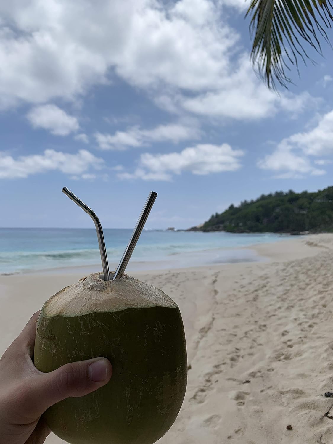 Stainless Steel Straws (Tall)