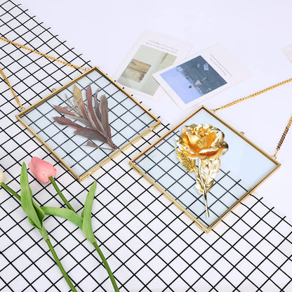 JUXYES 2 Pack Wall Hanging Brass Frame for Pressed Flowers, Glass Floating Frames for Display Dried Flowers Artwork, Double Glass Floating Style Square Gallery Wall Frame for Plants Photo Picture Poster etc