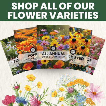 All Annual Quick Blooming Mix - 16,000 Wildflower Seeds for Vibrant Gardens - 1 Ounce Packet