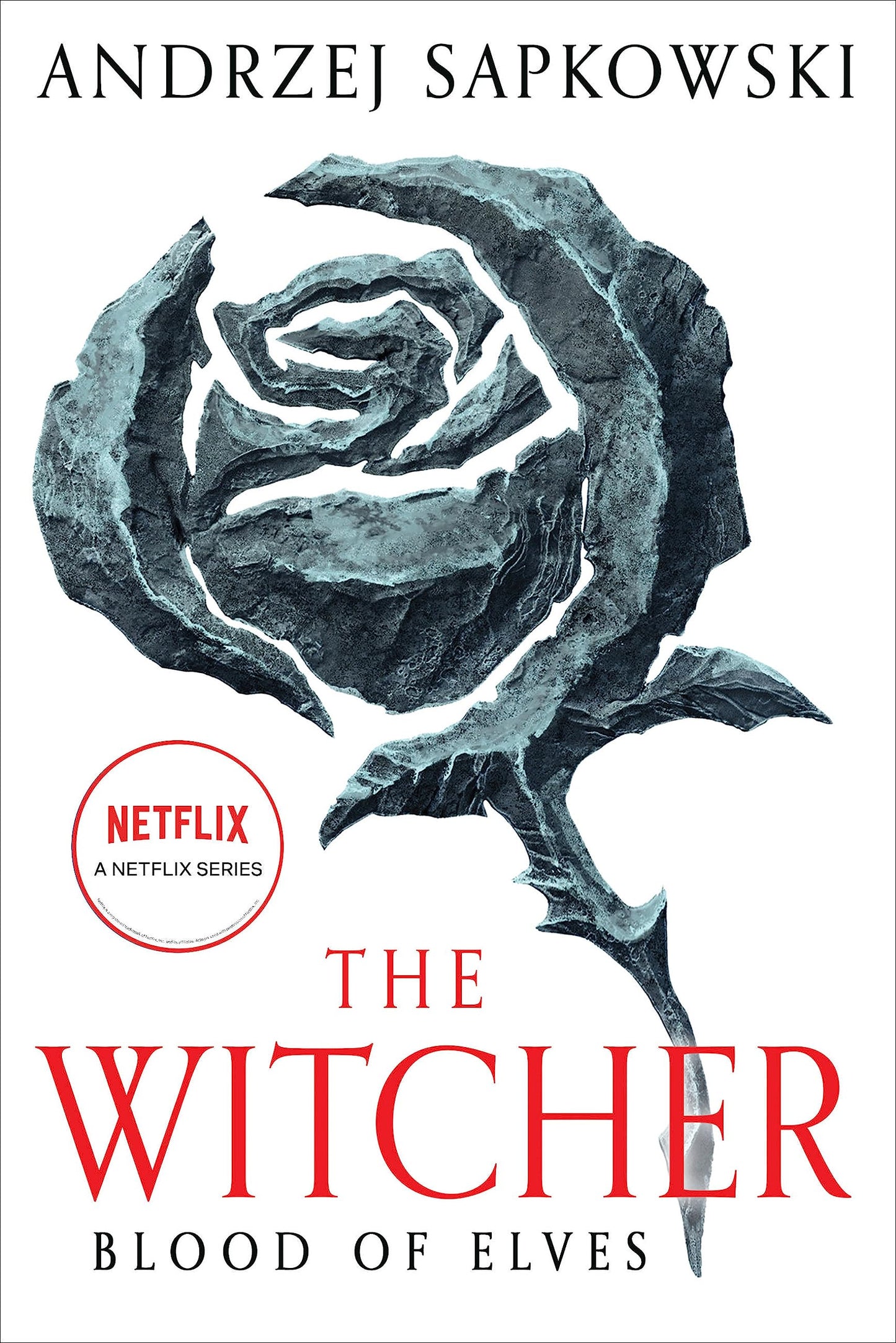 Blood of Elves (The Witcher Book 3 / The Witcher Saga Novels Book 1)