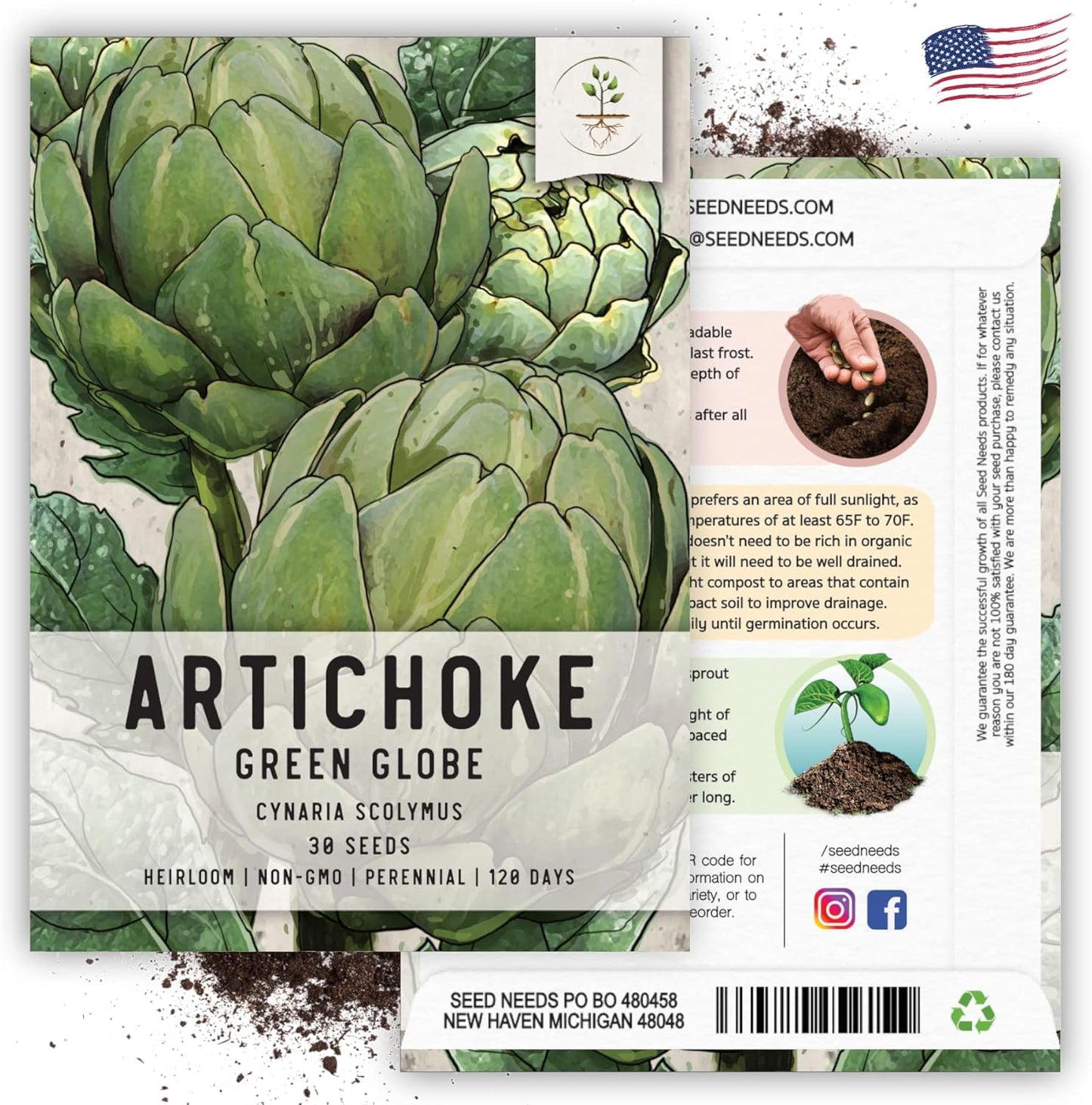 (2 Packs) Seed Needs Artichoke Seeds for Planting Green Globe Artichokes - Non-GMO Heirloom & Untreated - Grow an