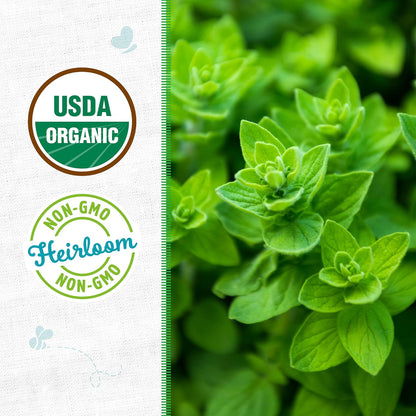 100% Packet 70mg Back to The Roots Organic Seed - Oregano 'Italian'