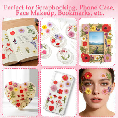 Dfqsofd 228Pcs Pressed Dried Flowers with Butterfly Stickers for Crafts, Natural Real Dried Pressed Flowers for DIY Art Butterfly Stickers Tweezers for Candle Soap Making, Scrapbook