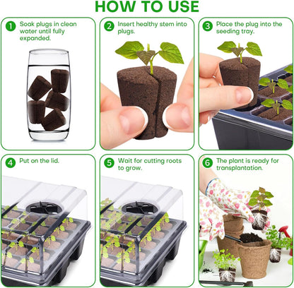 LAPOND 40 Pcs Grow Sponges with Tray, Starter Plugs for Cuttings, Great for Soil, Tray or Planting Pods Plant Rooter