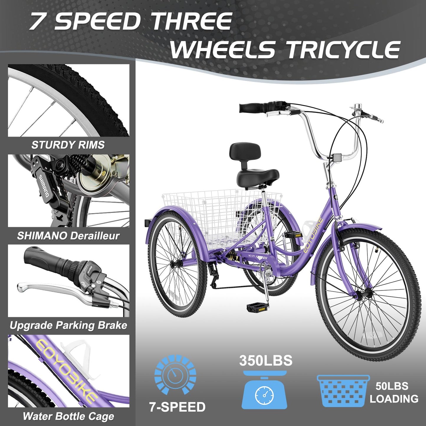 EOYOBIKE Adult Tricycle 3-Wheel Cruiser Bike, Low Step-Through, Heavy-Duty Comfort Trike with Adjustable Handlebar & Spring Saddle, Large Rear Basket, for Seniors & Adults (Amethyst Dusk, 24" Tire)