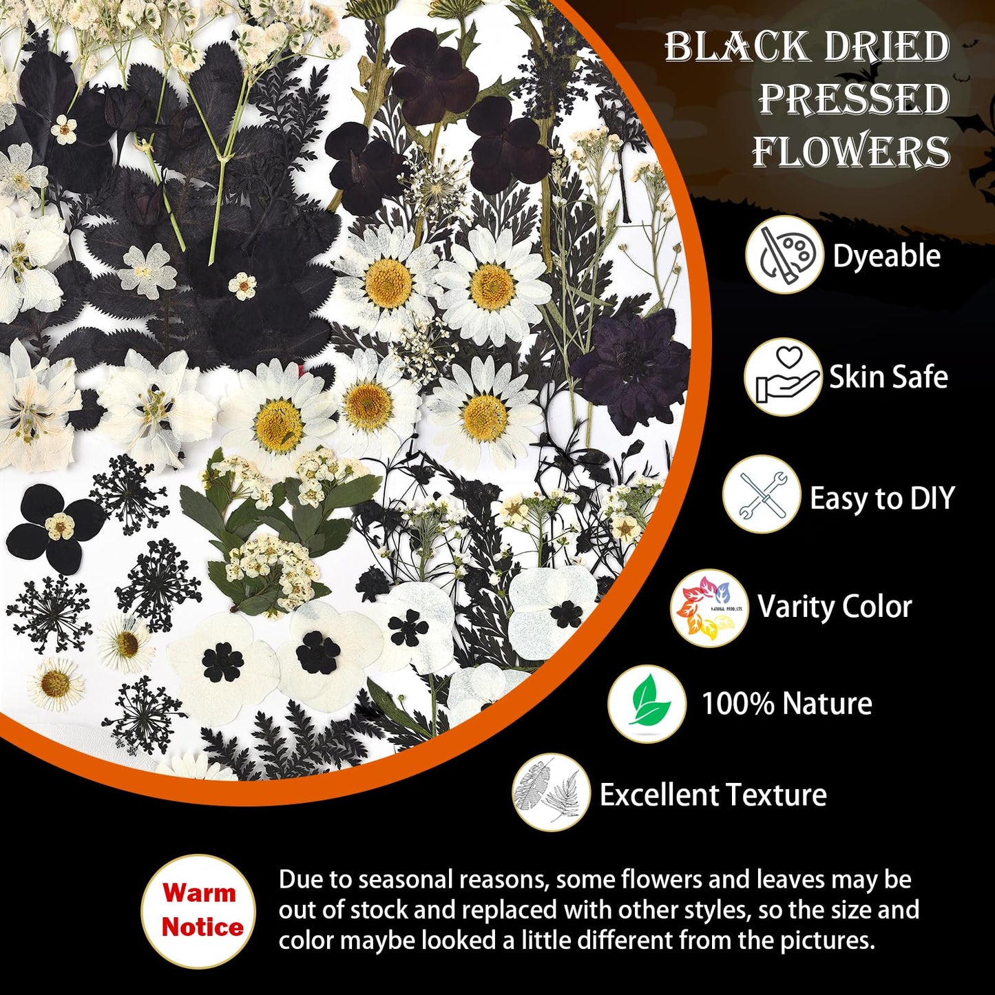 DALARAN Black Dried Pressed Flowers for Resin Molds, Bulk Real Natural Dry Floral for DIY Art Crafts, Epoxy Jewelry, Candle, Nails Decor, Phone Case,Soap Making