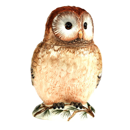 Winter’s Walk 3-D Ceramic Owl Cookie Jar – A majestic hand-painted owl cookie jar that brings rustic woodland charm to your kitchen, perfect for storing treats or decorating for the holidays, 88 oz.