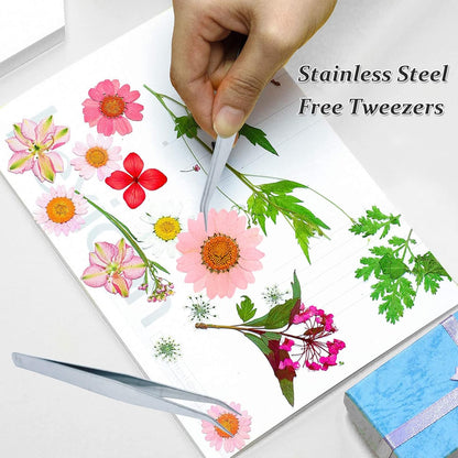 Dried Pressed Flowers, 60PCS Pink Natural Real Daisy for DIY Craft, Scrapbooking, Candle Making