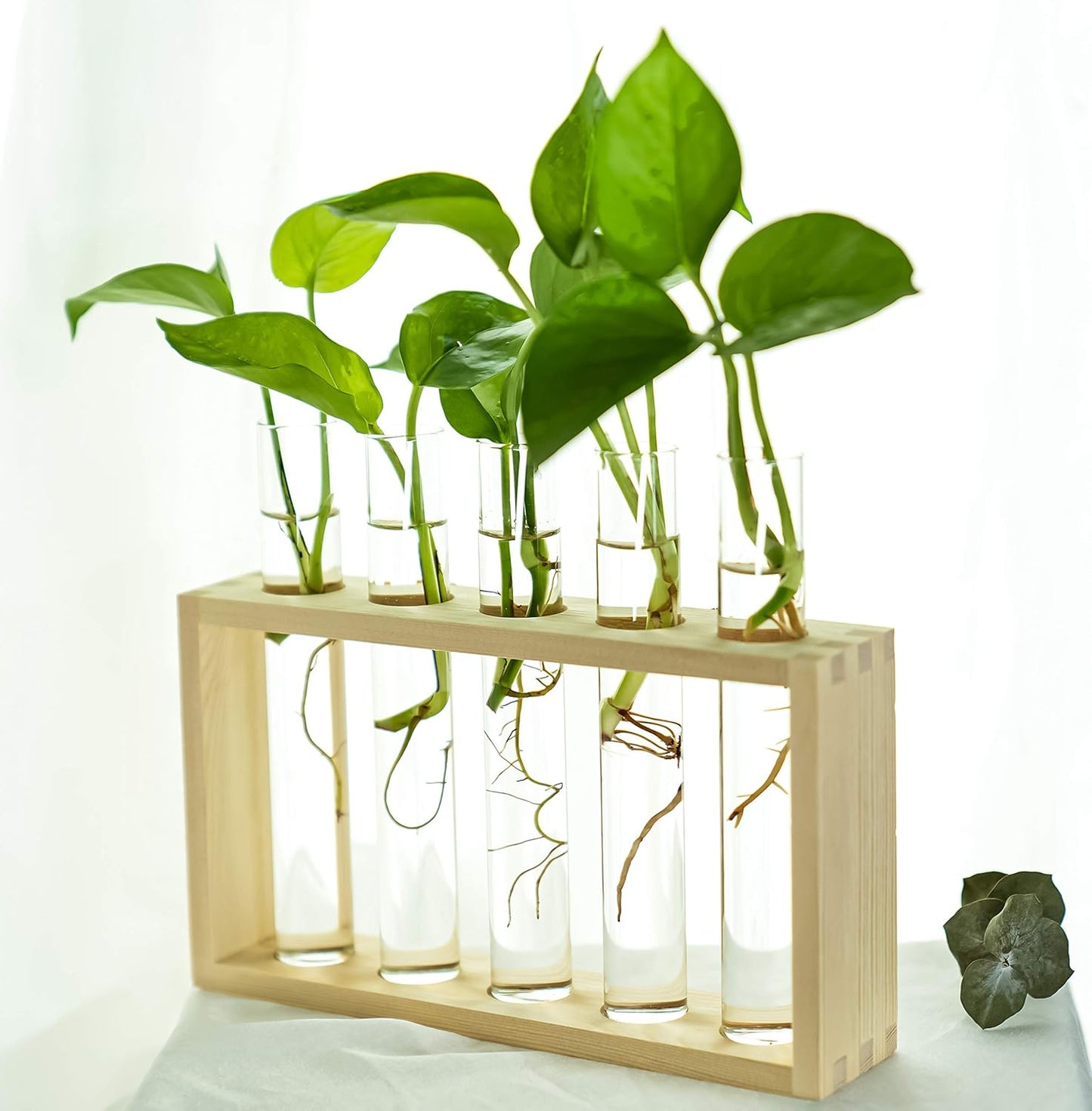 5 Kingbuy Wall Propagation Station with Test Tube Vases - Vintage Wood Stand Wall Hanging Planter for Plants, Tabletop