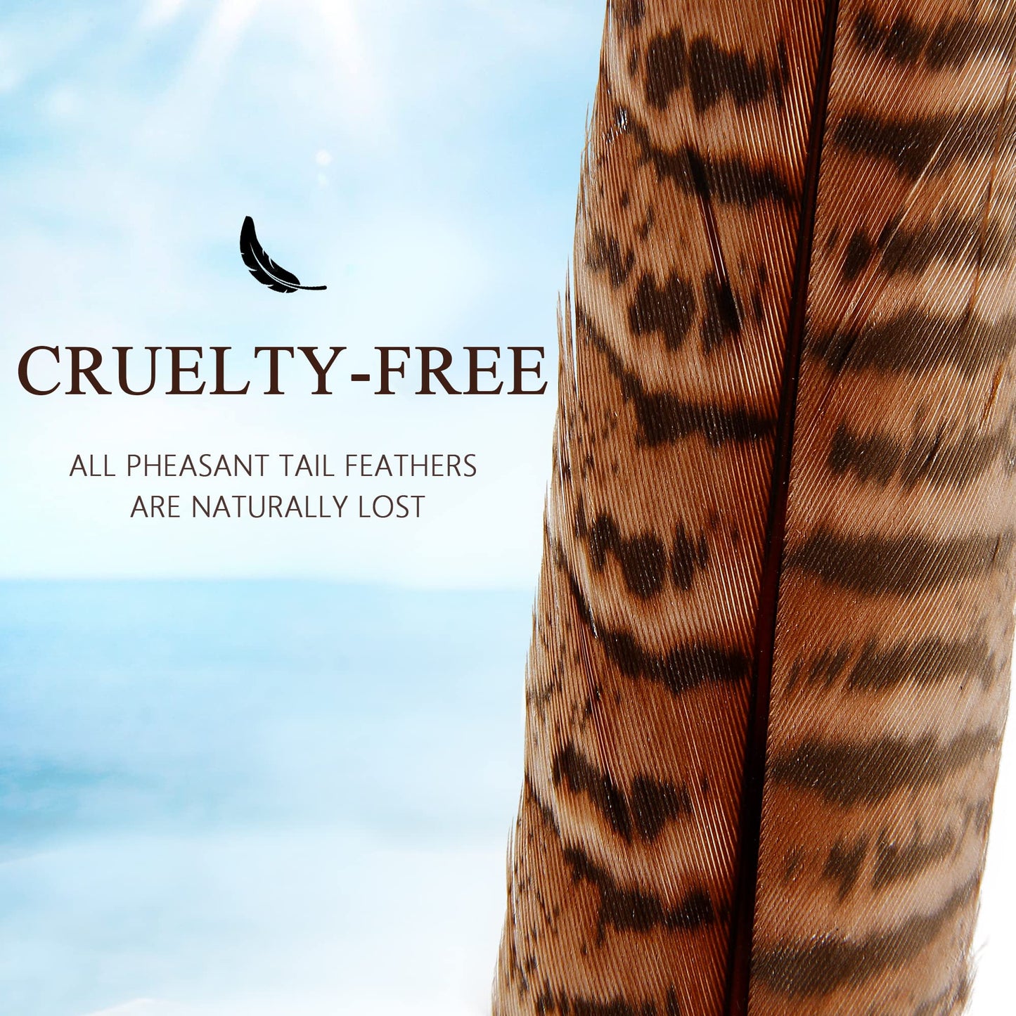 20pcs Female Pheasant Feather Natural Ringneck Tails Feathers 6-8inch 15-20cm for Crafts Home Wedding Party Performance DIY Decoration Pheasant Feather,Female Pheasant Feathers