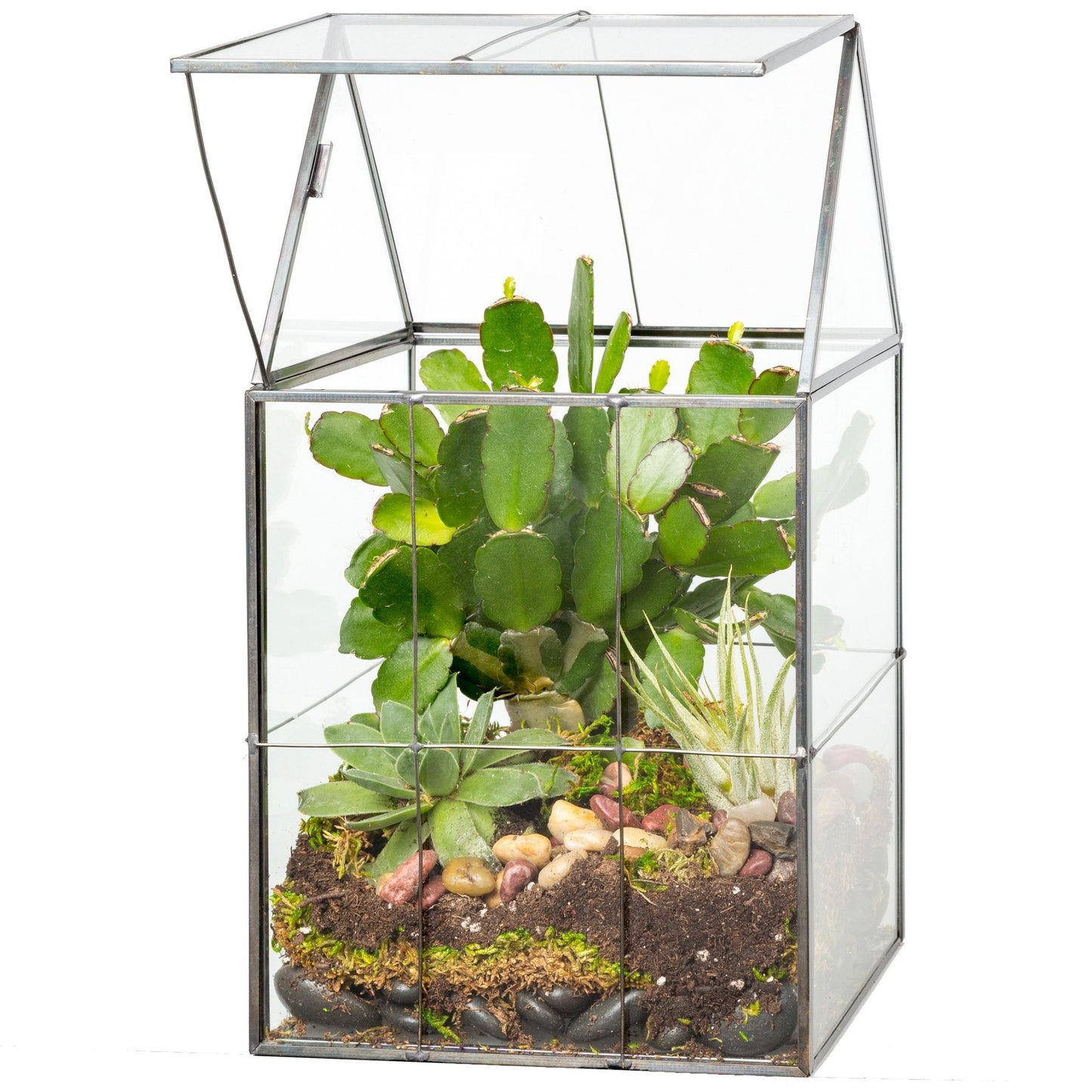 D'Eco Glass Geometric Centerpiece (6x5x11) - Planter Terrarium - Spring Home Decor & Wedding Letterbox - Fill with Succulents, Cacti, Air Plants, Moss, Flowers for Plant Lovers