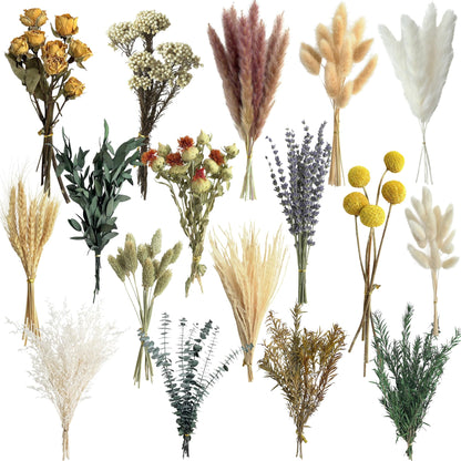 16 Varieties Dried Flowers Set, Mini Natural Dried Flowers Bulk with Stems for Vase Fillers, DIY Crafts, Wreath Making, Rustic Farmhouse Boho Home Decor, Wedding Floral Arrangement Brown Mix (7"-8")