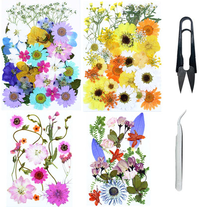 Cayway 4 Pack Pressed Flowers Natural Dried Flowers Colorful Resin Flowers Real Pressed Flowers for Resin Scrapbook DIY Art Crafts, Epoxy Resin Jewelry, Card Making Supplies, Style G