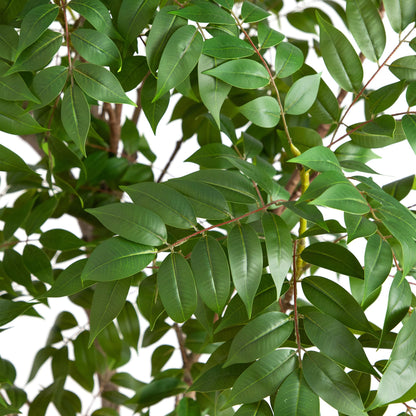 Nearly Natural 8ft Artificial Sumac Tree - Lifelike Green Leaves, Flexible Branches, Premium Craftsmanship, Includes Nursery Planter