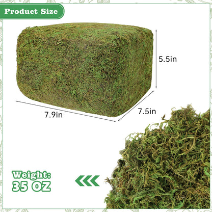 YUNVI 35 OZ Large Capacity Artificial Moss for Potted Plants,Natural Fake Moss Grass for Plants Indoor,Craft and Greenery Bulk for Hamsters(Fresh Green)