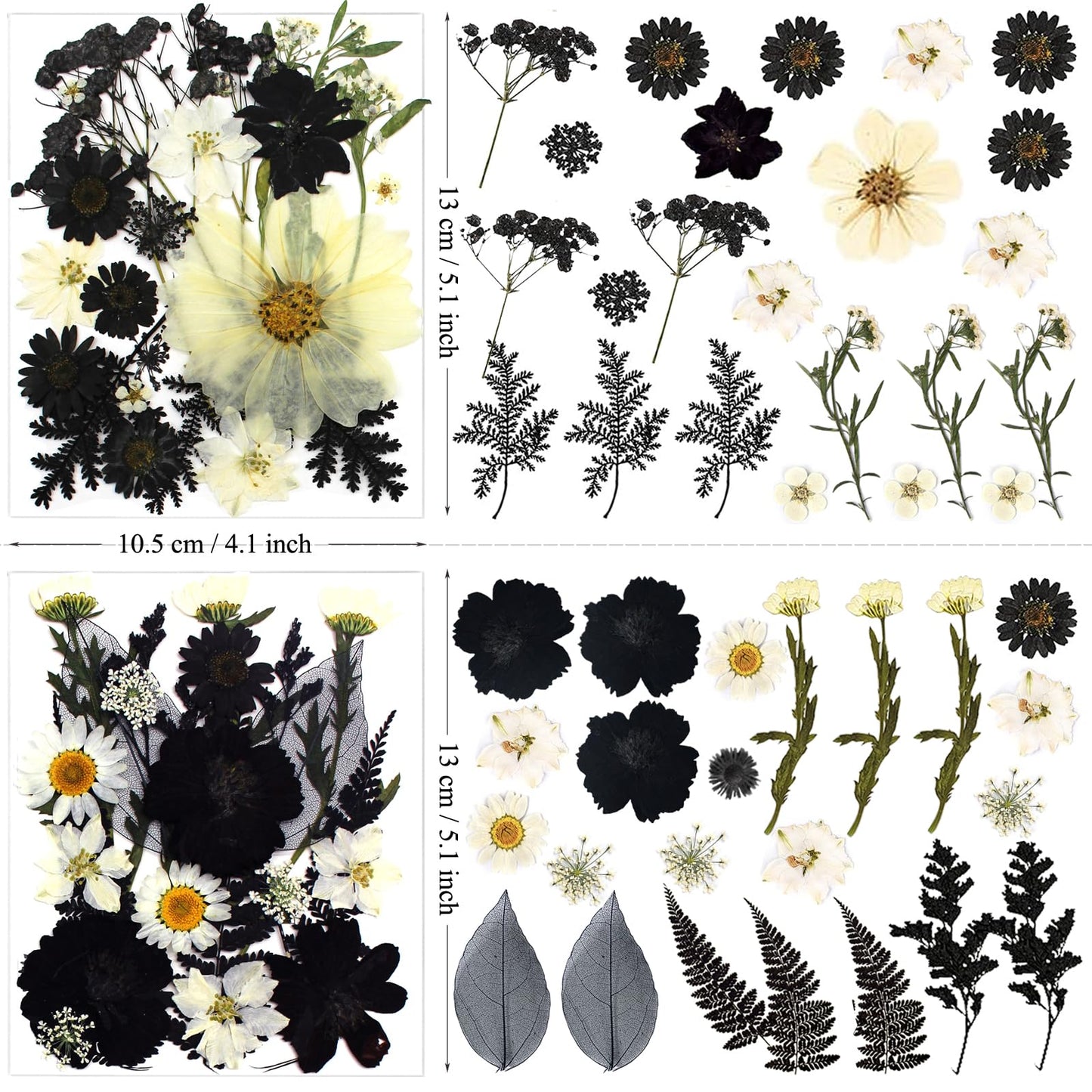 LUCISKY 90Pcs Black Pressed Dried Flowers for Resin Molds, Real Natural Bulk Dry Floral Leave for DIY Art Crafts, Epoxy Jewelry, Candle, Soap Making, Nails Decors