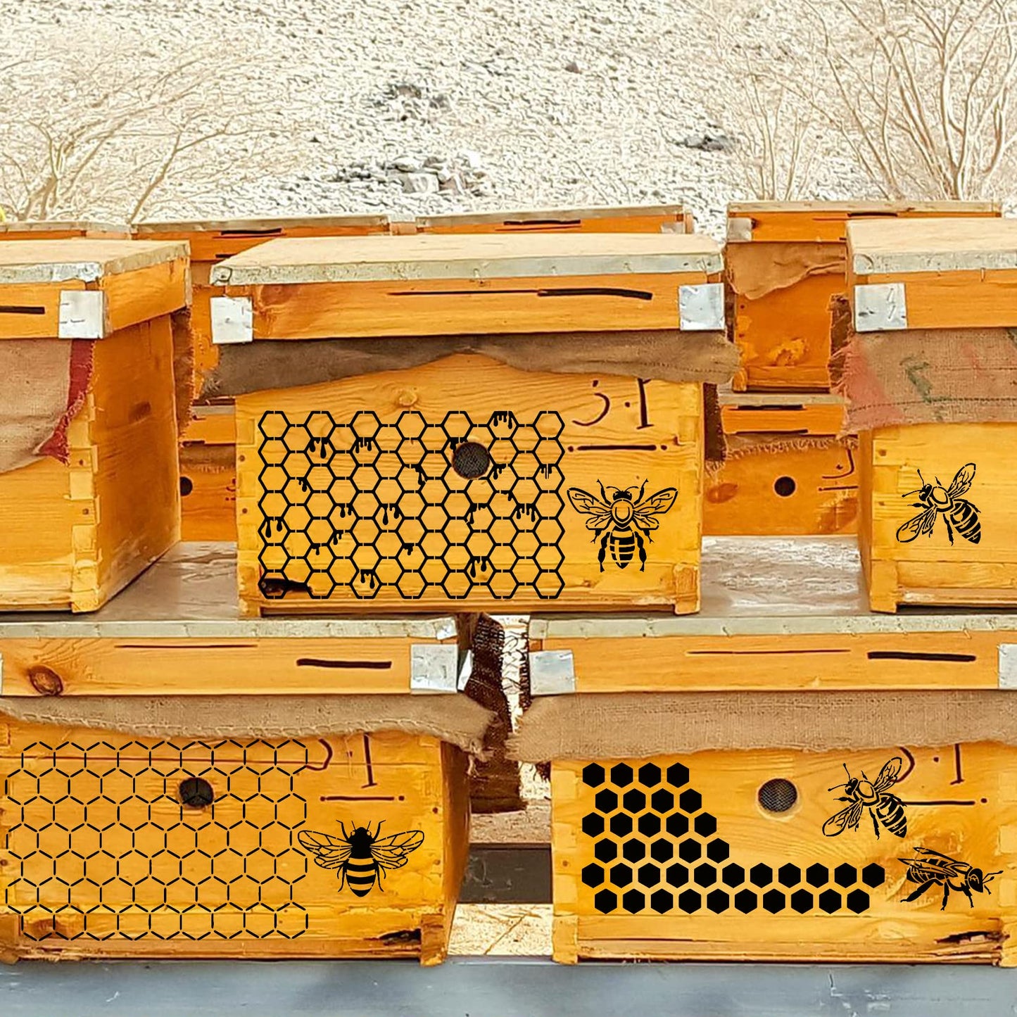 8 Pcs Bee Stencils for Painting on Wood, Honeycomb Hexagon Drawing Template Honey Comb Bee Stencil for Wall Canvas Furniture DIY Crafts Decorative Wood Burning (Honeycomb)