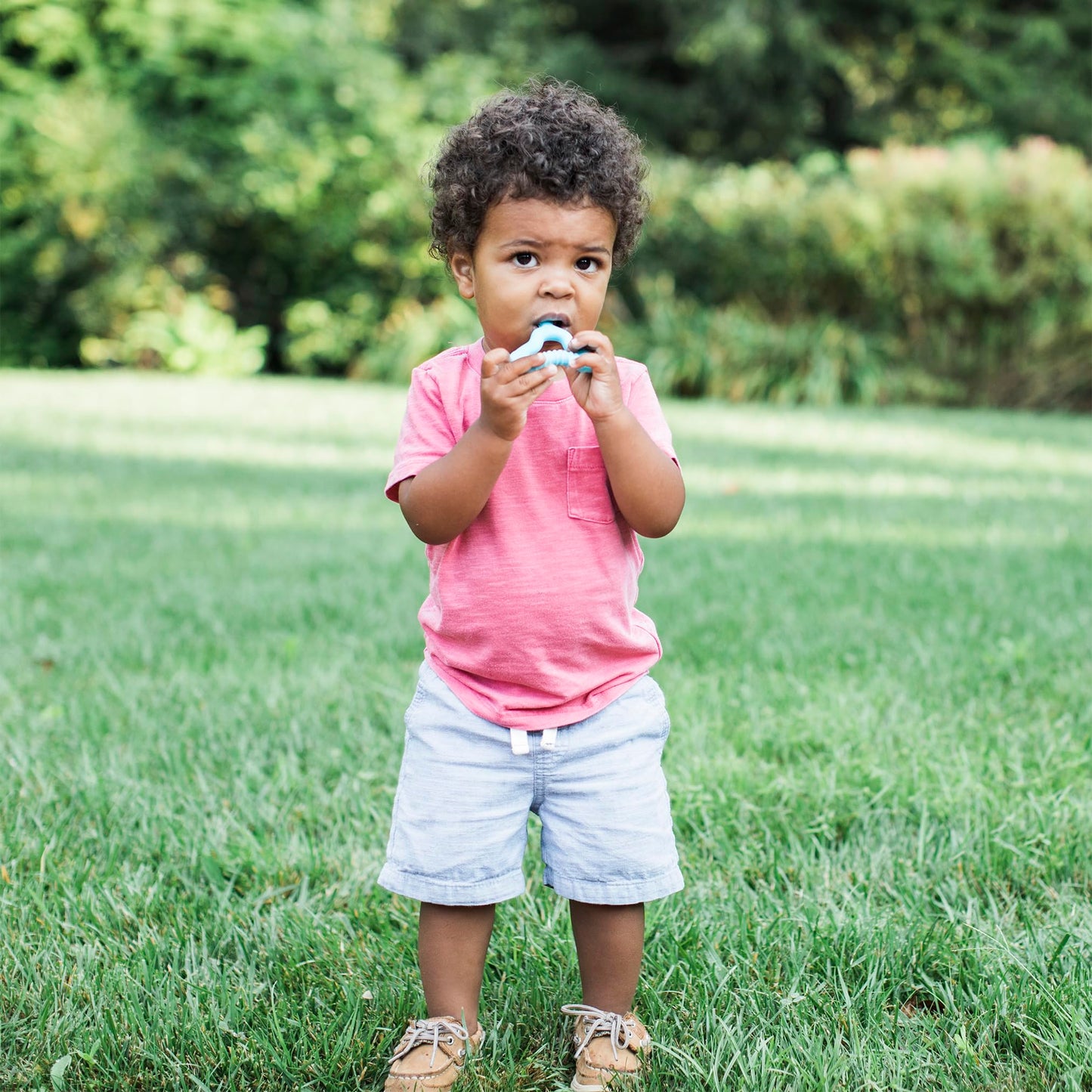 Green Sprouts Silicone Molar Teether, 12mo+, Platinum-Cured Silicone, Sterilizer Safe, Tested for Hormones - Light Blueberry