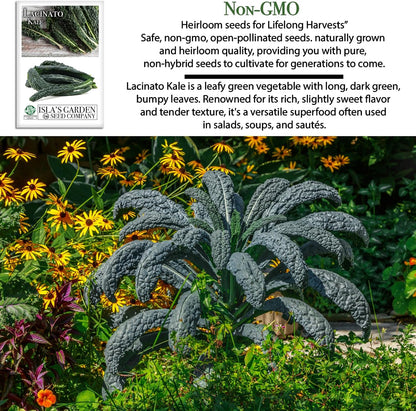 500+ Lacinato Kale Seeds (Brassica oleracea var. palmifolia) Heirloom Non-GMO Seeds by Islas Garden Seeds, Dark