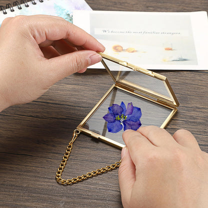 JUXYES 4 Pack Wall Hanging Mini Brass Frames for Pressed Flowers Art, Square Glass Hanging Dried Flowerss Artwork Display Frame, Double Glass Floating Style Gallery Wall Frame for Picture, Pressed Flower, etc