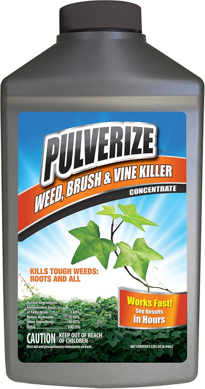 Regine Switzerland Weed Brush & Vine Killer - Fast Acting, Non-Staining Herbicide, 32 oz.