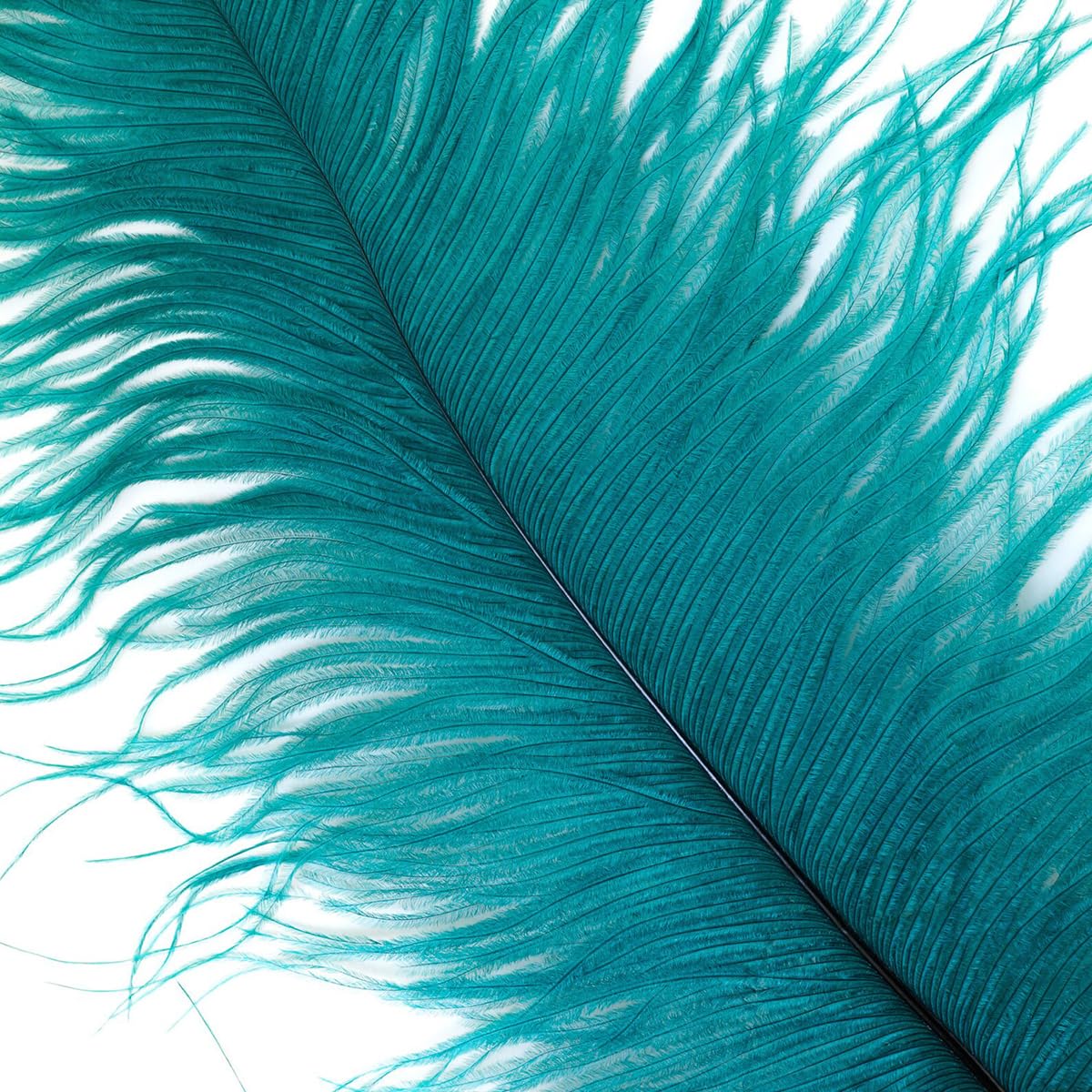 Ostrich Feathers 14-16 inch(35-40cm) Natural Bulk 10pcs Peacock Blue Feathers for Crafting Vase Wedding Party Home Christmas Day Decoration (Peacock Blue, 14-16 inch)
