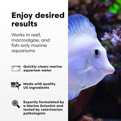 Brightwell Aquatics Clarifī-SW Marine Water Clarifier for Saltwater Aquariums Enhances Water Clarity by Removing Cloudiness with Protein Skimming and Mechanical Filtration Compatibility, 20L