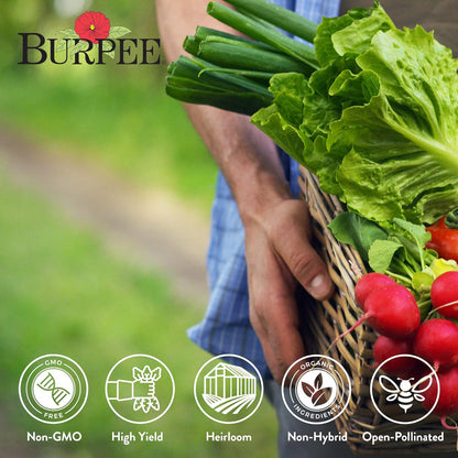 15,000+ Burpee Heirloom Vegetable Seeds - Seeds - Beans, Beets, Cauliflower, Celery, Collards, Cucumber, Eggplant