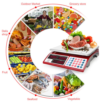CAMRY Price Computing Scale Commercial Food Scale 66lb / 30kg Fruit Meat Produce, Dual Bright LED Display Stainless Steel Platform, for Deli Farmers Markets Restaurant