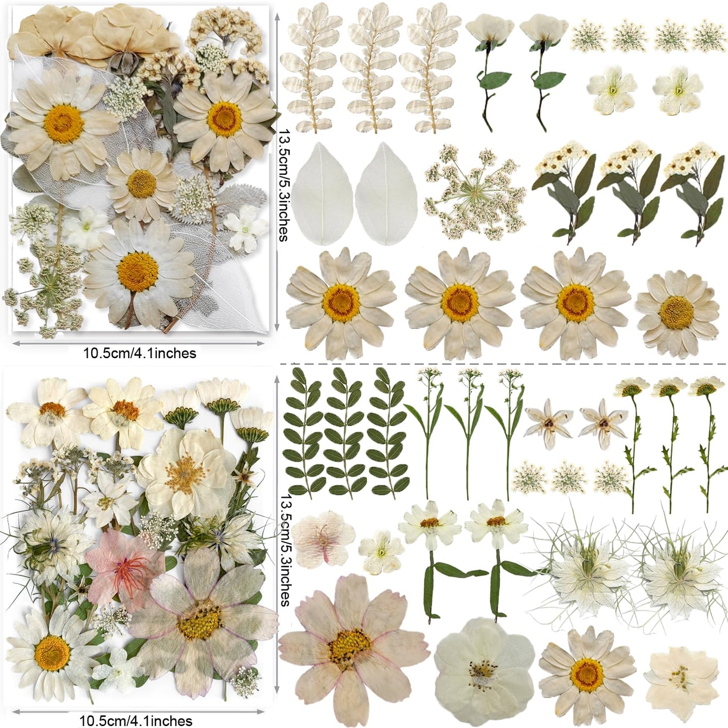 140PCS White Dried Pressed Flowers with Butterfly Stickers - YouthBro Real Nature Flowers Craft Set for Resin DIY Jewelry Candle Soap Vase Making Nail Card Scrapbook Art Floral Decors