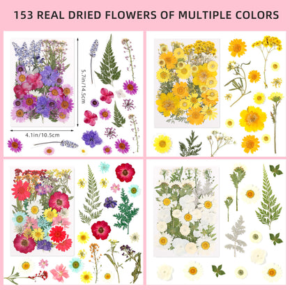 Botanical Pressed Flower Set – Real Dried Flowers & Leaves for Resin Art, Scrapbooking, Candle Making, and DIY Nature Crafts