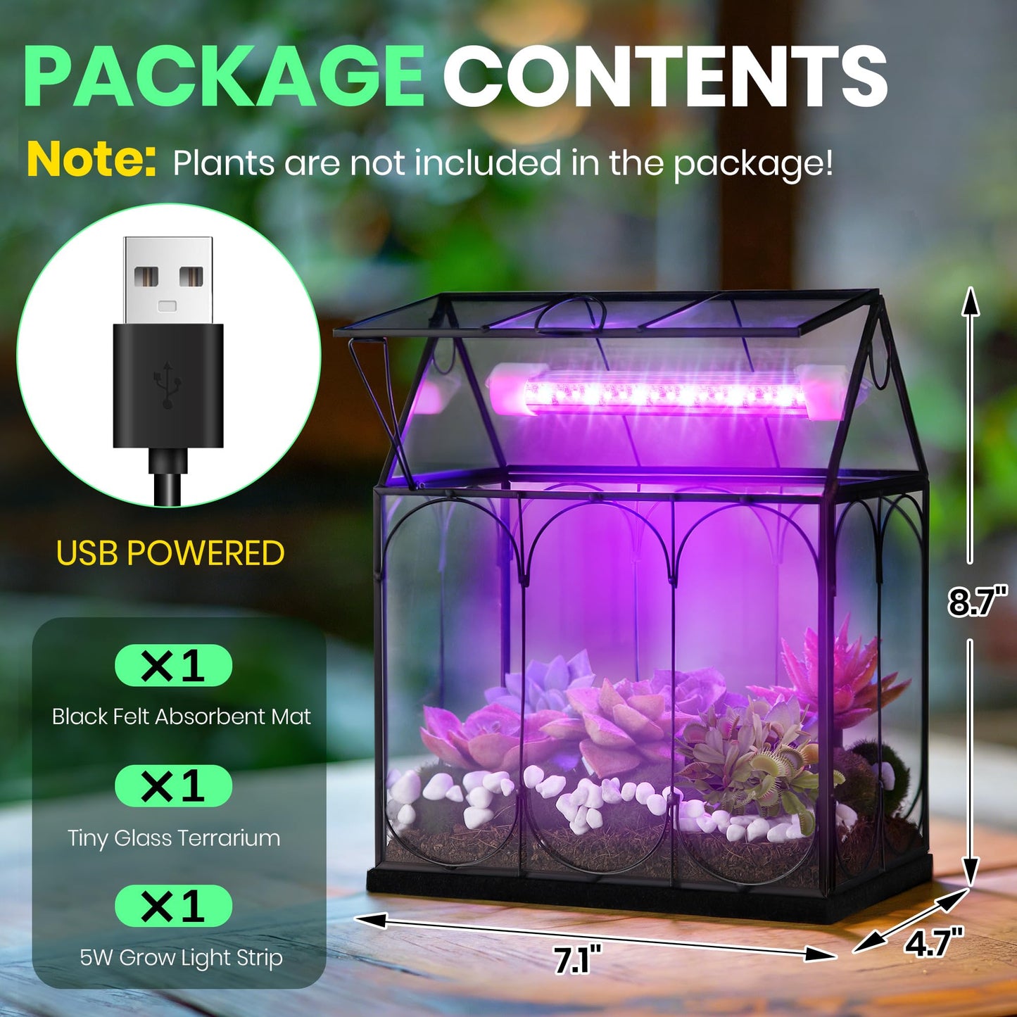 Meonum Tiny Glass Terrarium Kit with Grow Light, Venus Fly Trap Terrarium with Absorbent Mat, Timer&3 Light Modes for Succulent Live Air Plants Indoor Home Office Decor (7.1"x 4.7"x 8.7",USB Powered)