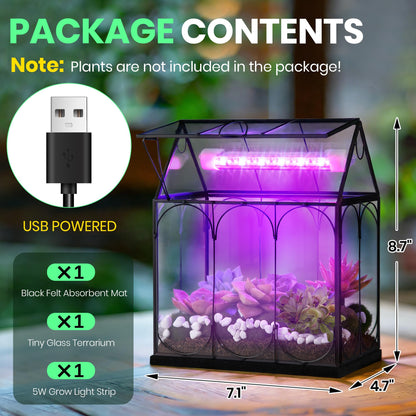 Meonum Tiny Glass Terrarium Kit with Grow Light, Venus Fly Trap Terrarium with Absorbent Mat, Timer&3 Light Modes for Succulent Live Air Plants Indoor Home Office Decor (7.1"x 4.7"x 8.7",USB Powered)