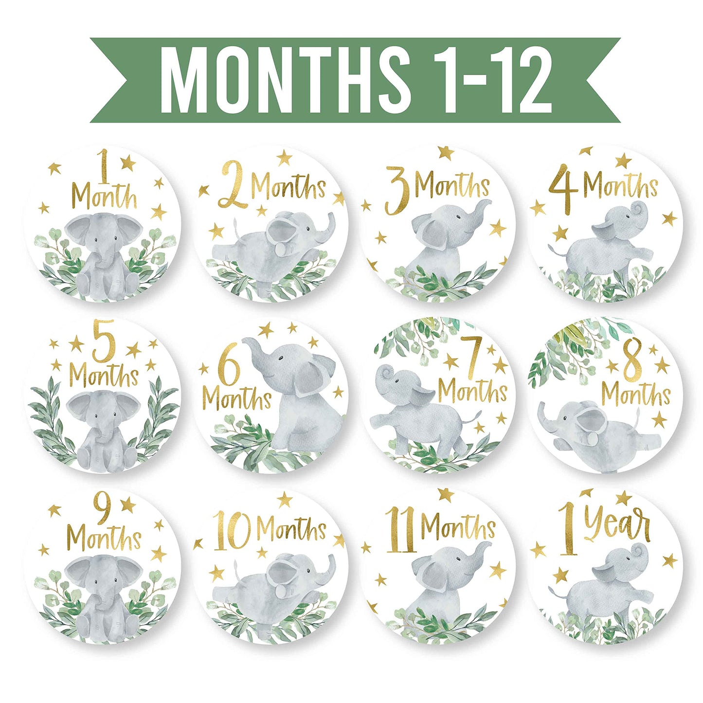 Hadley Designs 20 Monthly Baby Milestone Stickers-Elephant Baby Monthly Milestone Stickers, Newborn, Photo Props