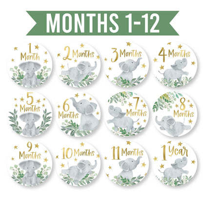Hadley Designs 20 Monthly Baby Milestone Stickers-Elephant Baby Monthly Milestone Stickers, Newborn, Photo Props