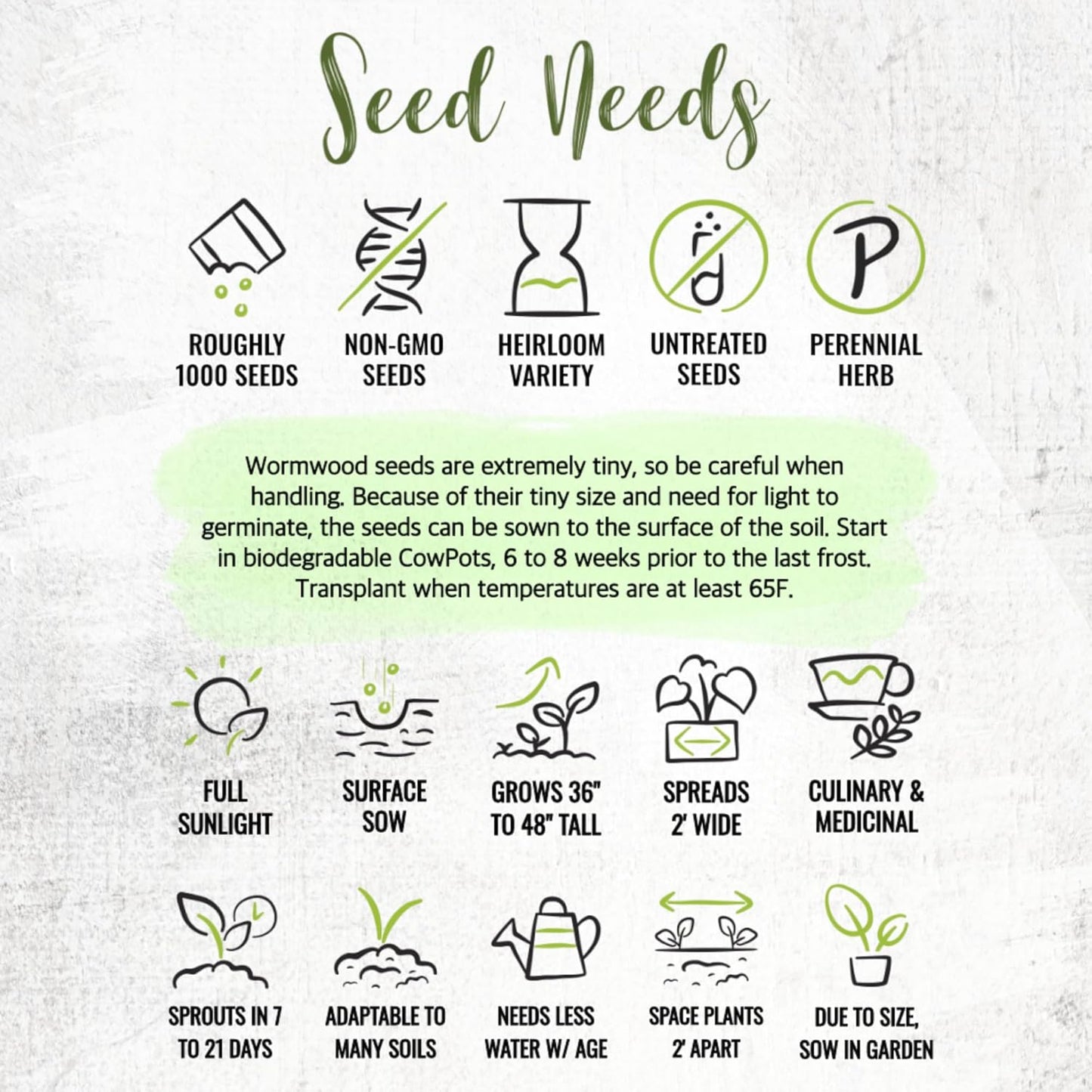 (1 Pack) Seed Needs Wormwood Seeds for Planting - Non-GMO, Heirloom & Untreated Perennial Herb - Medicinal Herbs