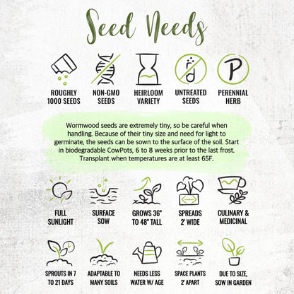 (1 Pack) Seed Needs Wormwood Seeds for Planting - Non-GMO, Heirloom & Untreated Perennial Herb - Medicinal Herbs