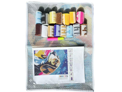 GLAECYY Latch Hook Kits Rug Crochet Yarn Kit Cushion Colour Pre-Printed Canvas Rug Needlework DIY Hook and Latch Kit (Star Dog)