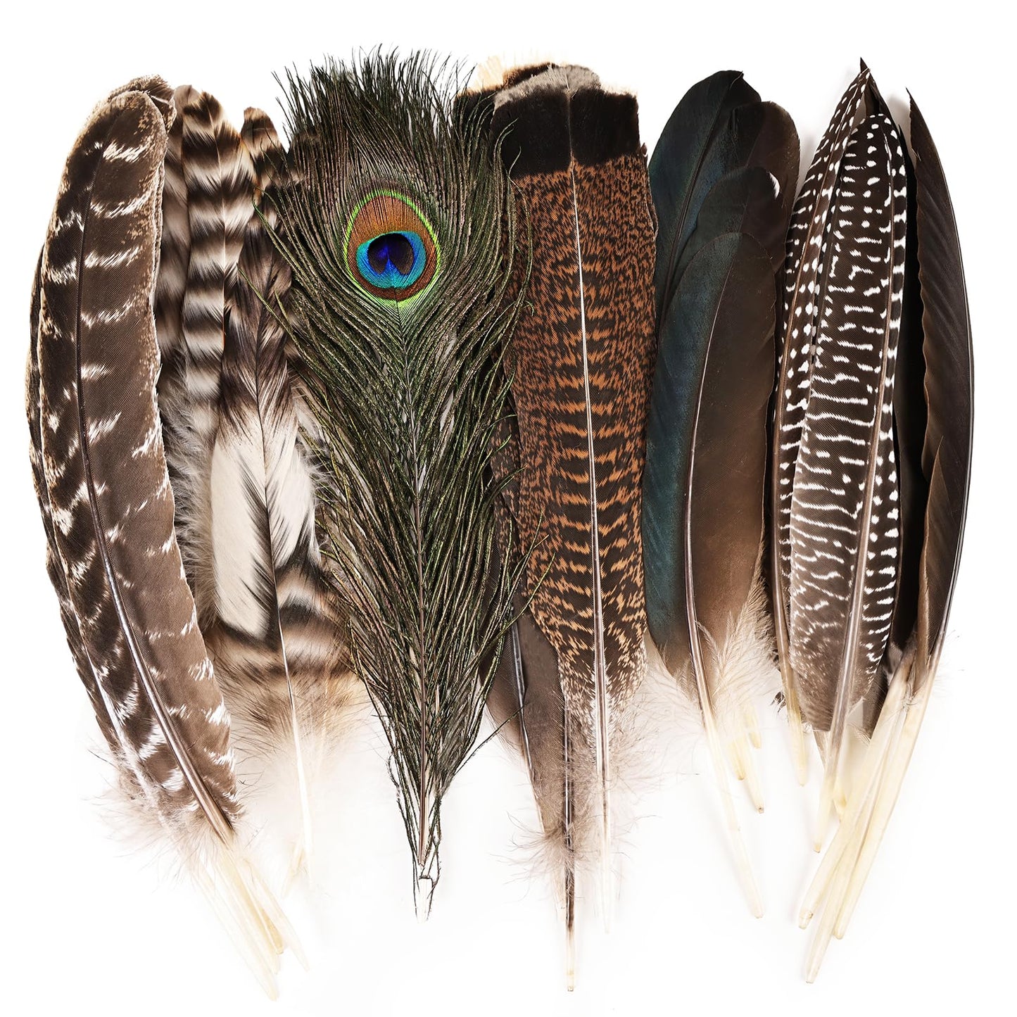 iHUFeather 42pcs Natural Pheasant Feathers Bulk Spotted Feathers 7 Styles Mixed Feathers for Crafts DIY Hat Floral Arrangements Wedding Home Decorations