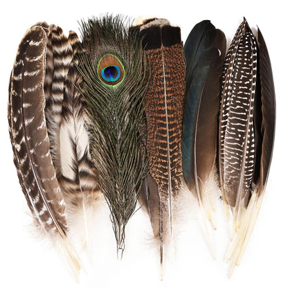 iHUFeather 42pcs Natural Pheasant Feathers Bulk Spotted Feathers 7 Styles Mixed Feathers for Crafts DIY Hat Floral Arrangements Wedding Home Decorations