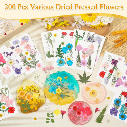 200 Pcs Dried Pressed Flowers for Crafts, 20 Sheets Real Dry Florals and Leaves Bulk with Tweezer for Resin Molds Candle Soap Making Scrapbook Bookmarks Frames Supplies Kit Nail Art Makeup Decor