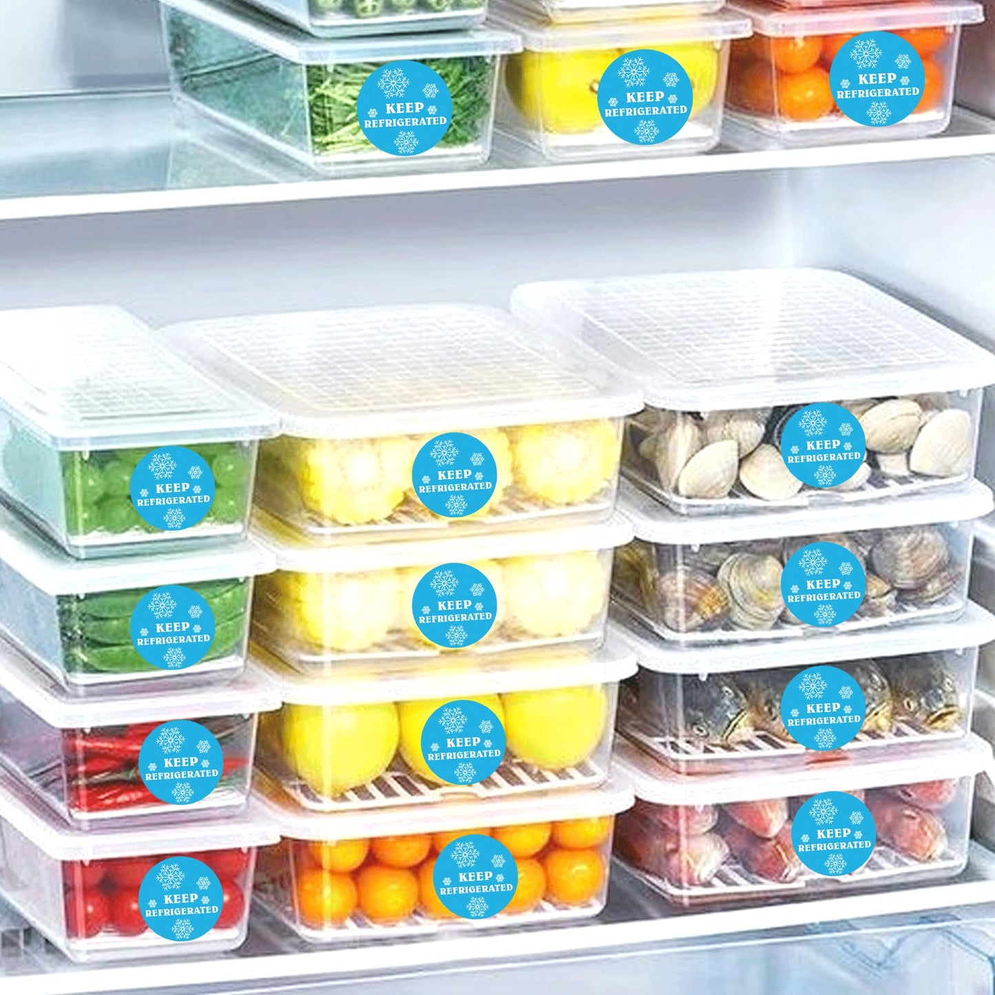 wootile Keep Refrigerated Stickers Waterproof 1.5 Inch Fluorescent Round Dots Blue Keep REFRIGERATED Food Packaging Warning Labels for Pharmacy, Drug Stores,Warning Labels,Health clinics,Drink 500Pcs