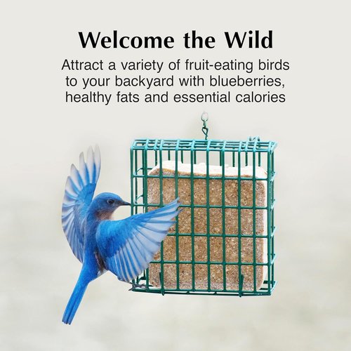 C&S Berry Delight Suet Cakes - No Melt Formula for Wild Birds | 11.75 Ounces, Pack of 8