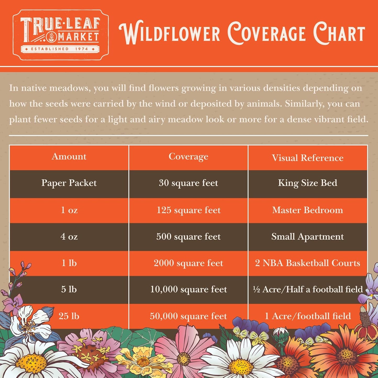Wildflower Seeds Bulk, 2 Oz. – 80,000+ Seeds Butterfly & Hummingbird Mix, 23 Non-GMO Varieties for Pollinator Planting