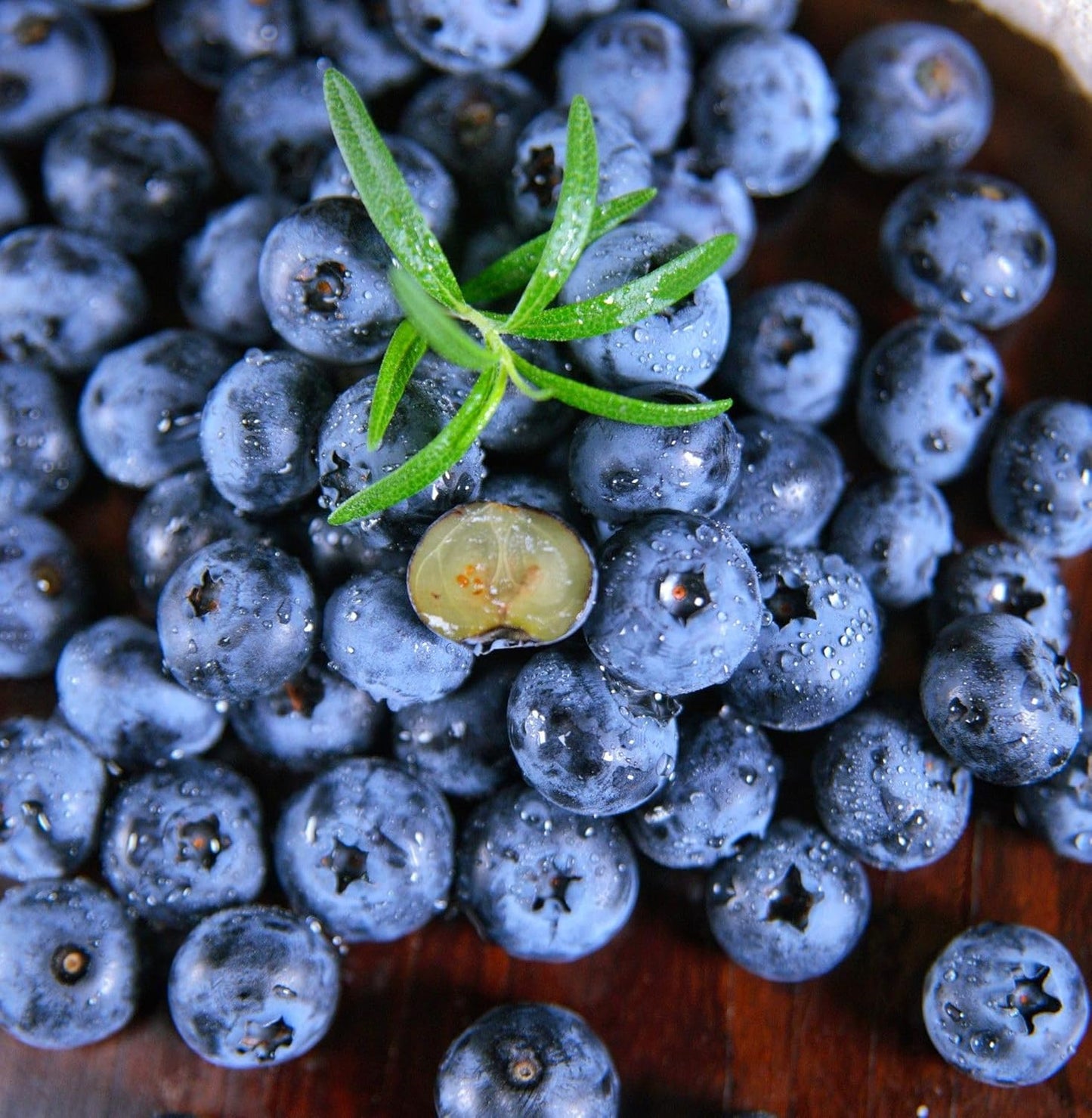 200 Blueberry Seeds for Planting Pcs